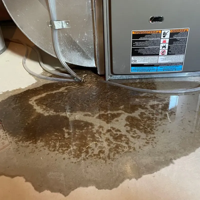 Pipe Burst and Leak Restoration in Lilbourn, MO