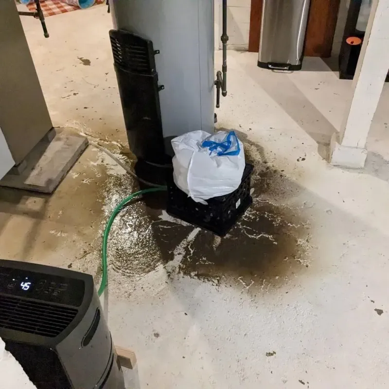 Sewage Backup Cleanup Service in Lilbourn, MO